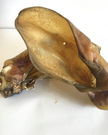 Cow Ear